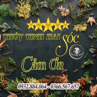 BÌNH NGÂM SÂM MẬT ONG 0,5L