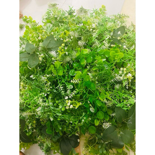1kg cỏ điểm trộn mẫu như hình
