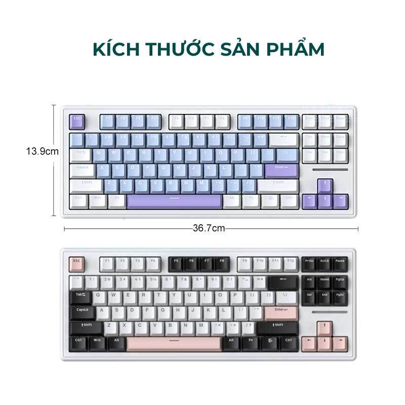 Bàn Phím Cơ Gaming Không Dây 3 mode Led RGB Hotswap lót foam đầy đủ XinMeng M87 Pro Luneta KB01 | BigBuy360 - bigbuy360.vn