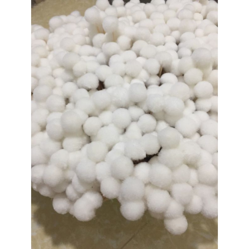 Bông Se Tai , siêu mịn  50 cây