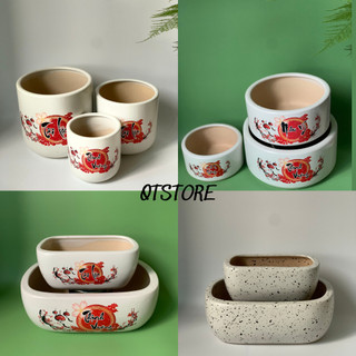 Chậu sứ trồng cây phong thủy - chậu trồng cây mini bonsai nhiều mẫu mã in hình đẹp