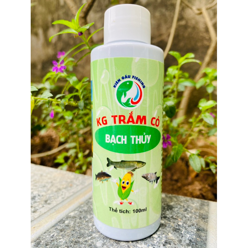 HƯƠNG LIỆU NGÂM NGÔ BẠCH THỦY -Câu Cá Trắm Trắng ,Cá Chép ,Trắm Đen KG