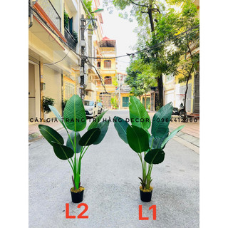 [ Hàng cao cấp loại1 ]Cây chuối giả 120cm - cây giả decor đẹp loại 1