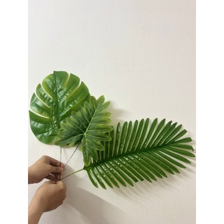 Cành Lá Rùa , Lá Dừa ,Lá Cọ Decor