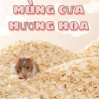 Mùn Cưa Thơm Sàn Lọc 0,5kg Hamster Thỏ Bọ Nhím Sóc Chim