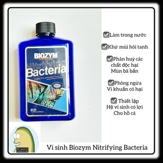 Vi sinh sống Biozym Nitrifying Bacteria cho bể cá thủy sinh