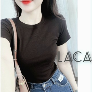 Áo Thun Ôm Body cổ Tròn Ngắn Tay Chất Gân Đẹp Có Size S M L tới 70kg F16+E16 LACA STORE