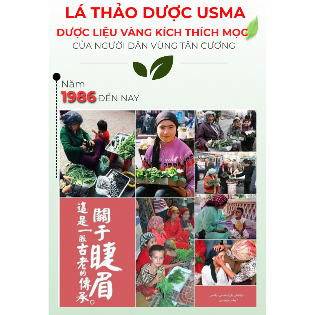 Serum Thảo Dược Usma Kích Mọc Lông Mi Mày Tóc, Serum Cỏ Usma Tân Cương 3In1 Giúp Mi Mày Tóc Chắc Khoẻ Mọc Nhanh 10ml