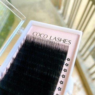Mi lông thỏ Coco Lashes - Mi khay chính hãng