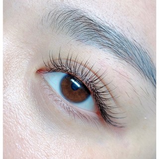 Mi lông thỏ Coco Lashes - Mi khay chính hãng