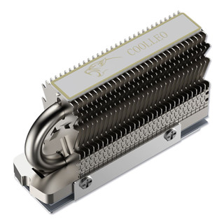 Tản nhiệt SSD M2 Coolleo Pro 2280 (HR-09, HR-10, V3 low profile)