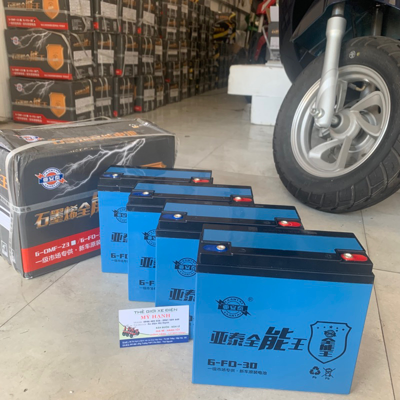 Bộ 4 Ắc Quy Xe điện 12V-30AH. Chính Hãng