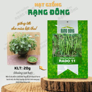 Hạt giống Đậu Cove Bụi Lùn Rado 11 (20g~120 hạt) sinh trưởng khỏe, trồng quanh năm - Hạt giống Rạng Đông