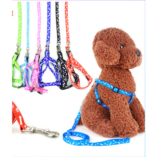  Dây đeo ngực cho chó mèo  Dây dắt chó mèo MrKim Sai Gon 