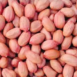 Lạc nhân sống, đậu phộng 1kg