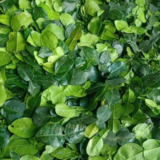 lá chúc, lá chanh thái , hàng mới mỗi ngày số lượng ít đến nhiều