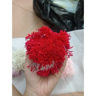 Set 350 đến 400 sợi nhụy hoa kẽm nhung, nhụy hoa mai đào