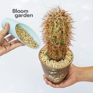 Đồ xúc đất nhựa bằng nhựa cứng , chuyên dùng cho sen đá, xương rồng, cây bonsai | Bloom Garden