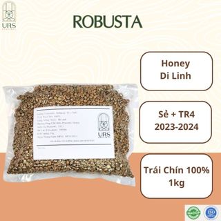 Cà phê nhân xanh Robusta Honey - cà phê trái chín 100% nguyên chất, sơ chế honey - giống Sẻ + TR4