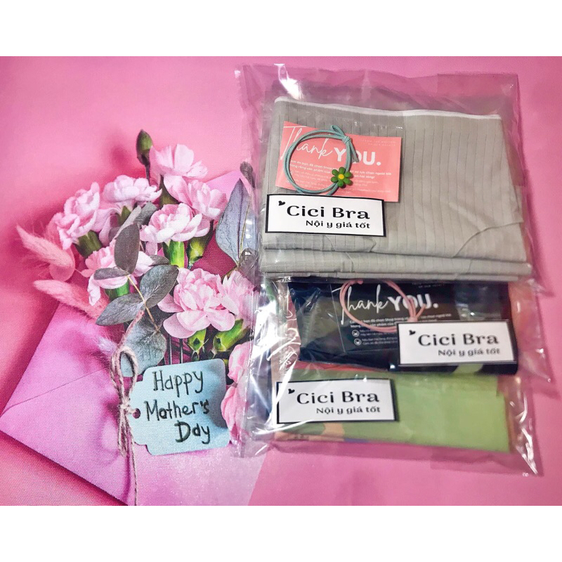 Quần Lót Cotton Tăm Không Đường May Kháng Khuẩn mã CT 05 .