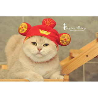 🌈🌈 MŨ THẦN TÀI, GIÁNG SINH CHO PET 🌈🌈