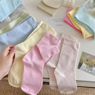 Vớ trơn cổ cao màu pastel