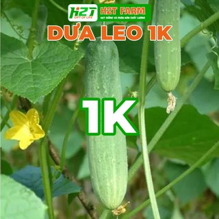 2 hạt giống dưa leo, dưa chuột nhật, dưa leo baby chùm - h2t farm
