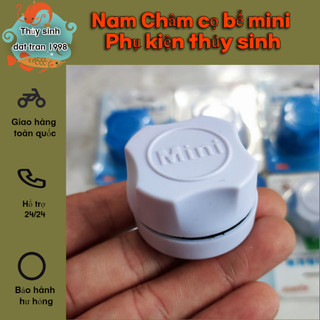 Nam Châm cọ bể mini - Phụ kiện hồ thủy sinh