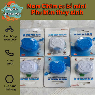 Nam Châm cọ bể mini - Phụ kiện hồ thủy sinh
