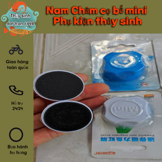 Nam Châm cọ bể mini - Phụ kiện hồ thủy sinh