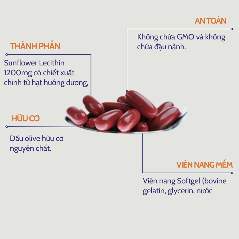 Chống tắc tia sữa Sunflower Lecithin 1200mg Now an toàn dành cho mẹ đang cho con bú 100 viên