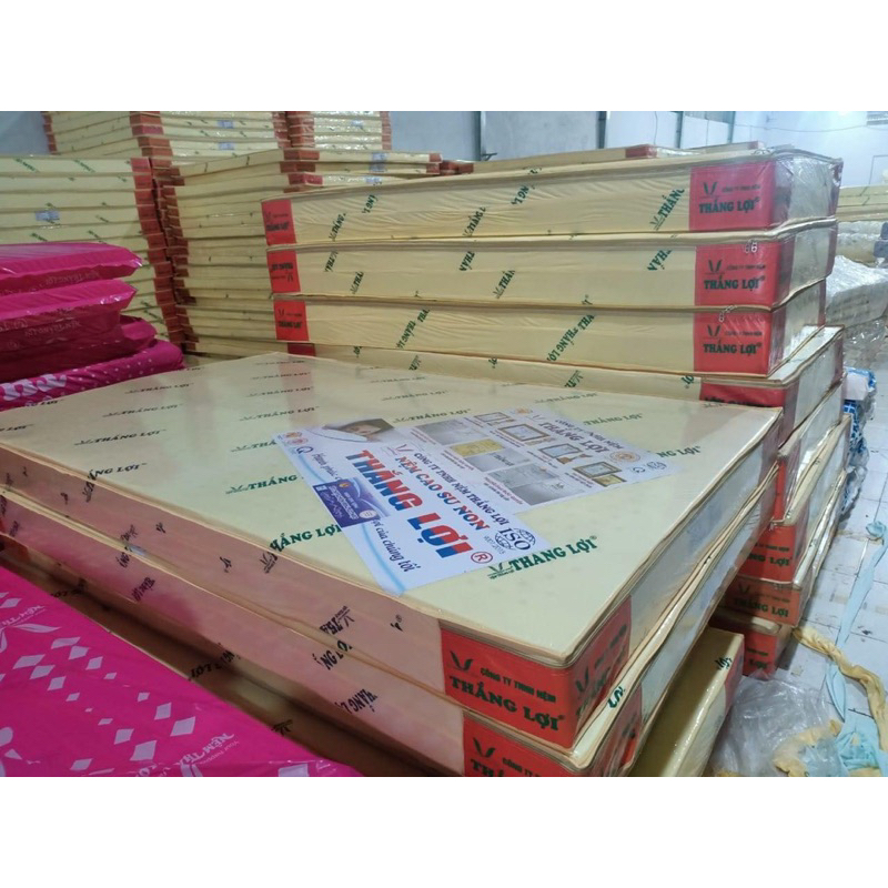 NỆM CAO SU NON THẮNG LỢI CHÍNH HÃNG -10cm-mua 1 Tặng 8