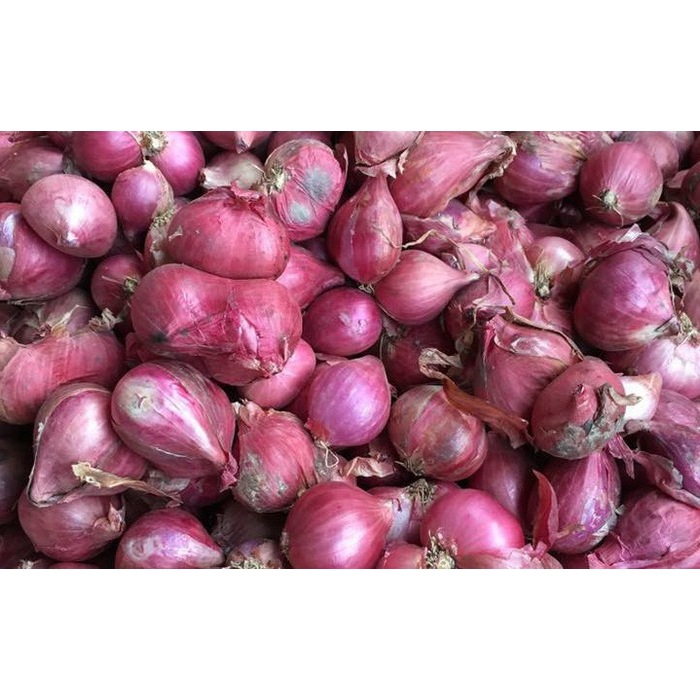 Hành Ninh Thuận 1kg