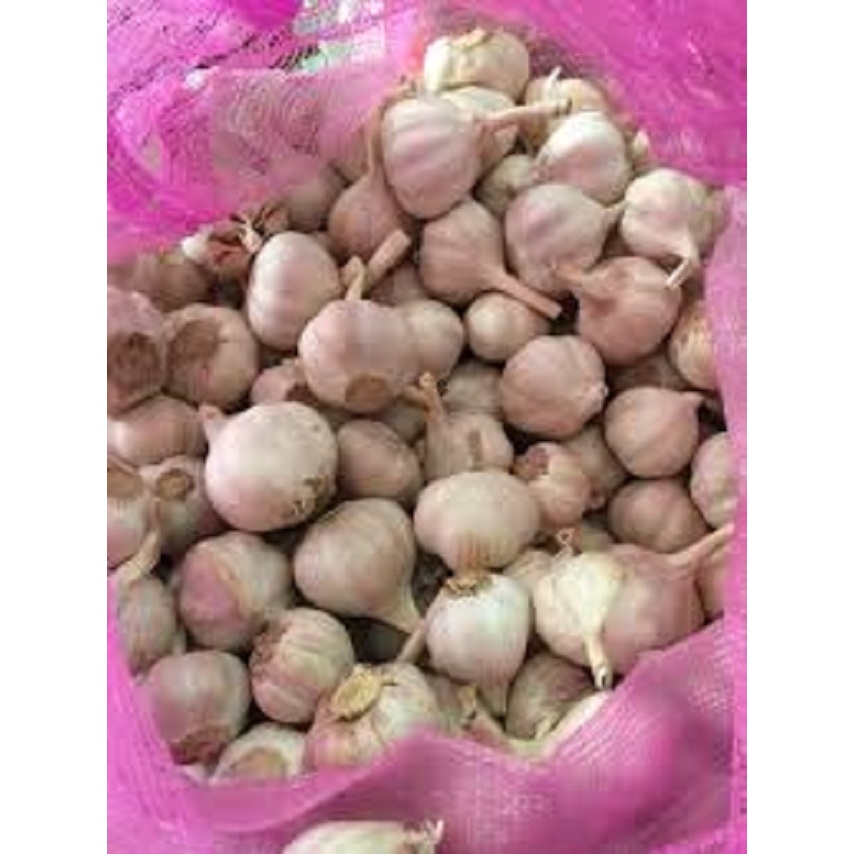 Tỏi Ninh Thuận 1kg