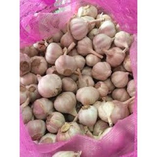 Tỏi Ninh Thuận 1kg