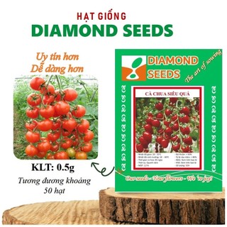 Hạt Giống Cà Chua Cherry Đỏ Cà Chua Cherry Đỏ Lai F1 sinh trưởng vô hạn, trồng quanh năm