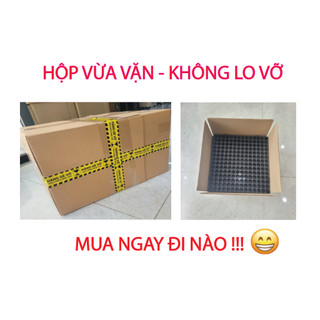 [Combo 9 tấm - Diện tích 1m2] Vỉ thoát nước toàn phần Ecocell
