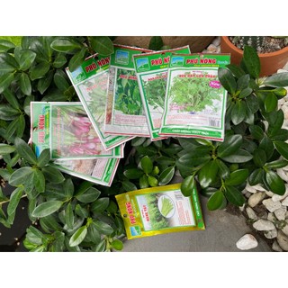 Hạt giống rau gia vị rau cần hành lá hẹ ngò rí tía tô bạc hà âu (đủ các loại)