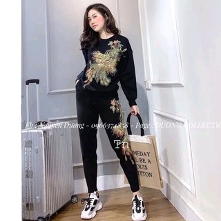 Bộ len công kim sa vip