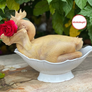 Bát thuyền đựng gà , đĩa thuyền nhựa đựng hoa quả, gà cúng bầy ban thờ nhựa việt nhật