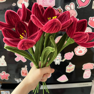 Cành hoa tulip nở kẽm nhung