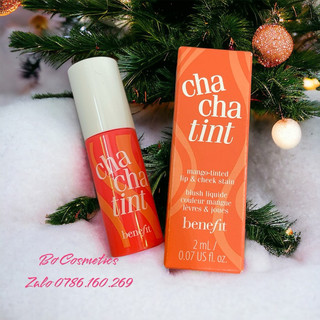 Son Benefit cheek & lip tint