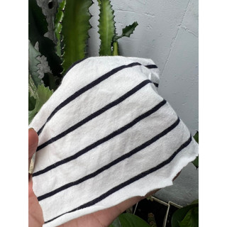 Vải thun 100% Cotton co dãn 2 (hàng cây)