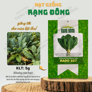 Hạt giống Cải Kale Khủng Long Rado 227 giống cải xoăn kale khổng lồ trồng quanh năm - Hạt giống Rạng Đông