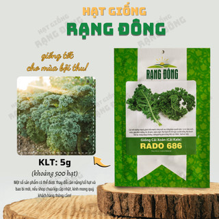 Hạt giống Cải Xoăn (Cải Kale) Rado 686 (5g~500 hạt) kháng bệnh, giàu dinh dưỡng, trồng quanh năm - Hạt giống Rạng Đông