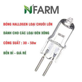 Bóng đèn xông tinh dầu - bóng halogen 220v/50w, loại 2 chân
