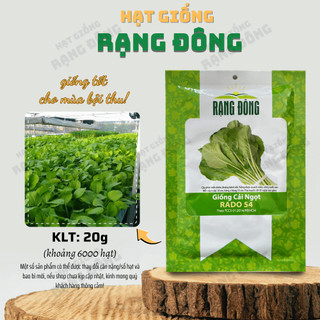 Hạt giống Cải Ngọt Rado 54 (20g~6000 hạt) giòn, ngọt, bẹ to, ít sâu bệnh, trồng quanh năm - Hạt giống Rạng Đông