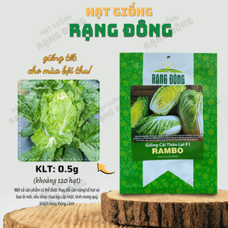 Hạt giống Cải Thảo Rambo (0,5g~120 hạt) bắp to, trồng quanh năm, dễ chăm sóc - Hạt giống Rạng Đông