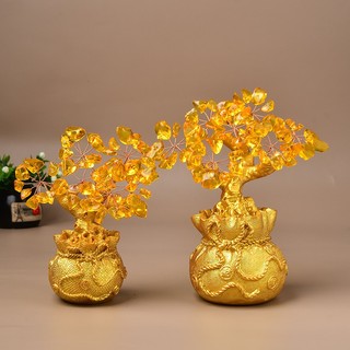 Chậu cây kim ngân đá vàng tài lộc decor trang trí nhà cửa