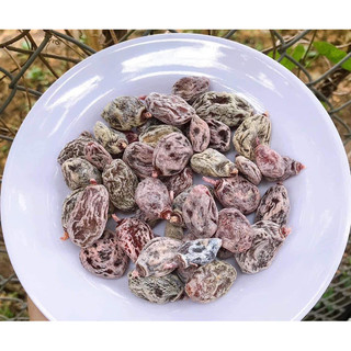 Ômai Mơ Sữa (Chua Ngọt Không Hạt)